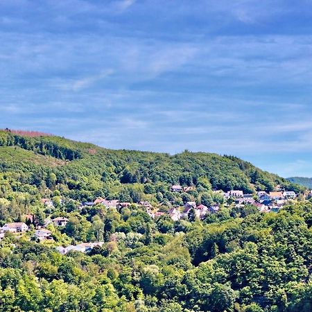 Natur Panorama Suiten Am Rursee Heimbach Eksteriør billede